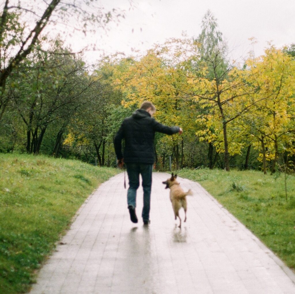 Wandelen natuur